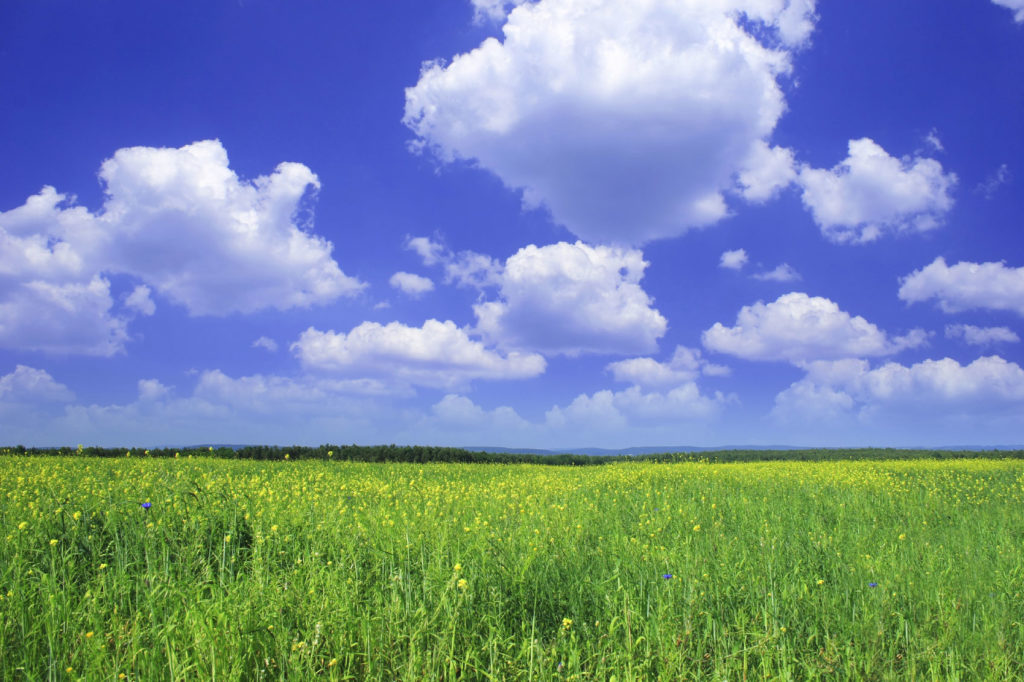 How do Refrigerants Impact the Environment? Refrigerant HQ