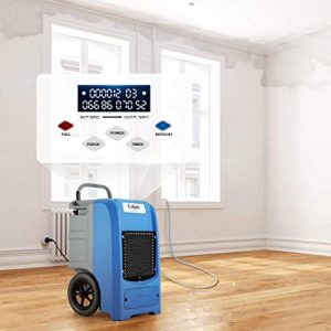 Ideal for water damage restoration and removing humidity in a room
